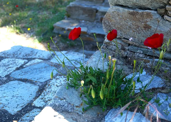 Vereniki Andros Guesthouse